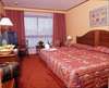 Hotel Holiday Inn Nice 